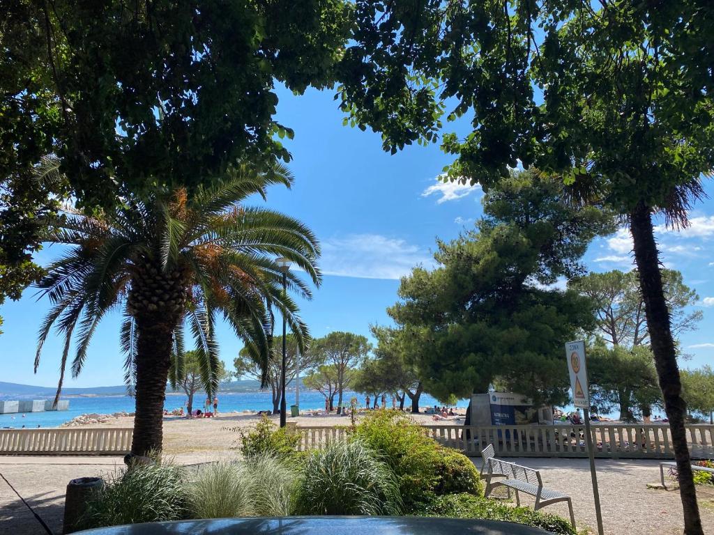 una spiaggia con palme e l'oceano sullo sfondo di ROOMS " City Center Crikvenica "40m beach a Crikvenica