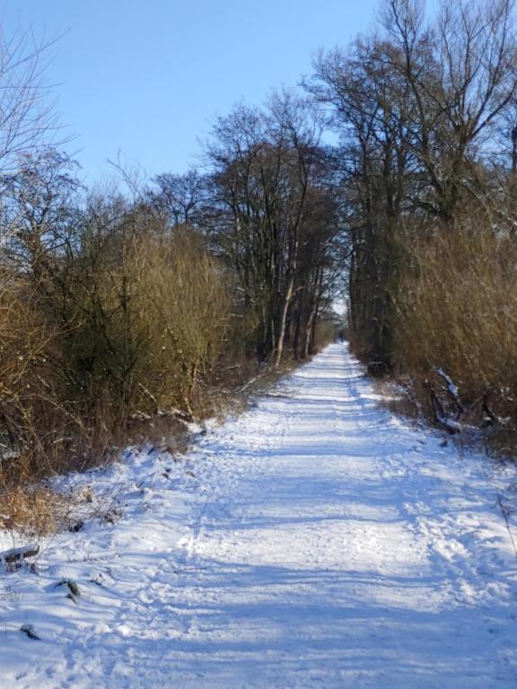 Gut Hohenstein - Platanenappartment v zimě