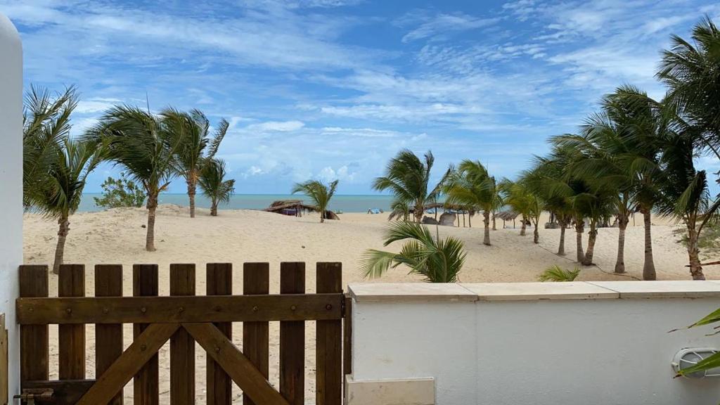 a view of a beach with palm trees and the ocean at MelBliss Gostoso in São Miguel do Gostoso
