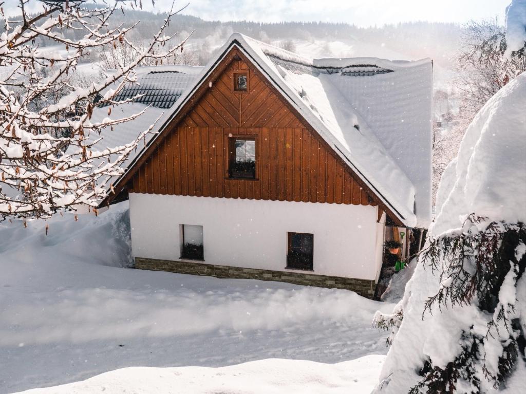ロキトニツェ・ナト・イゼロウにあるApartmán Karel a Martinaの雪に覆われた木造家屋