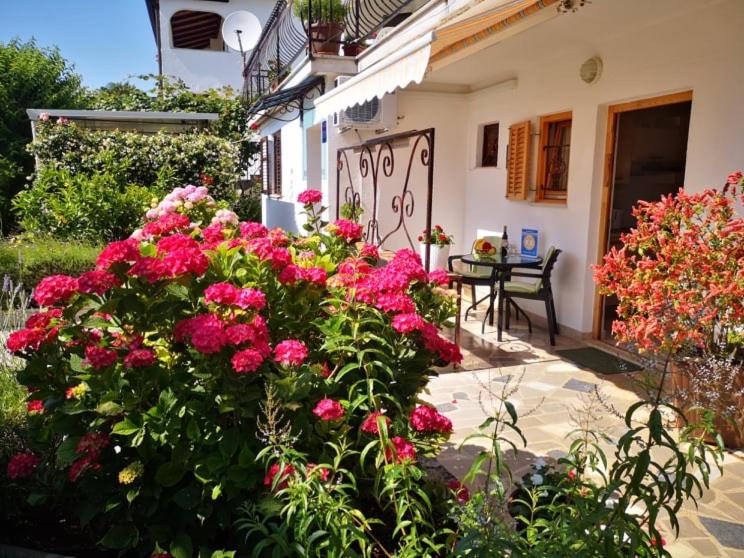 a garden with pink flowers in front of a house at Apartmani Rita Studio in Novigrad Istria