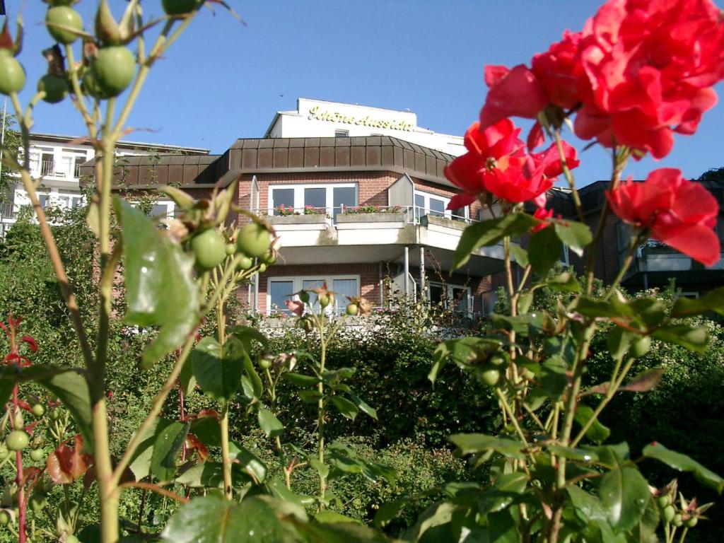 Zahrada ubytování Hotel Zur schönen Aussicht
