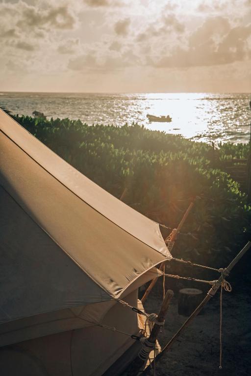 Příroda nedaleko luxury tent