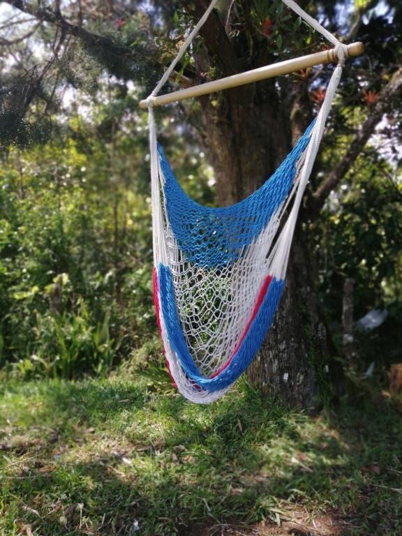 Zahrada ubytování Suite y Loft Casa Toría