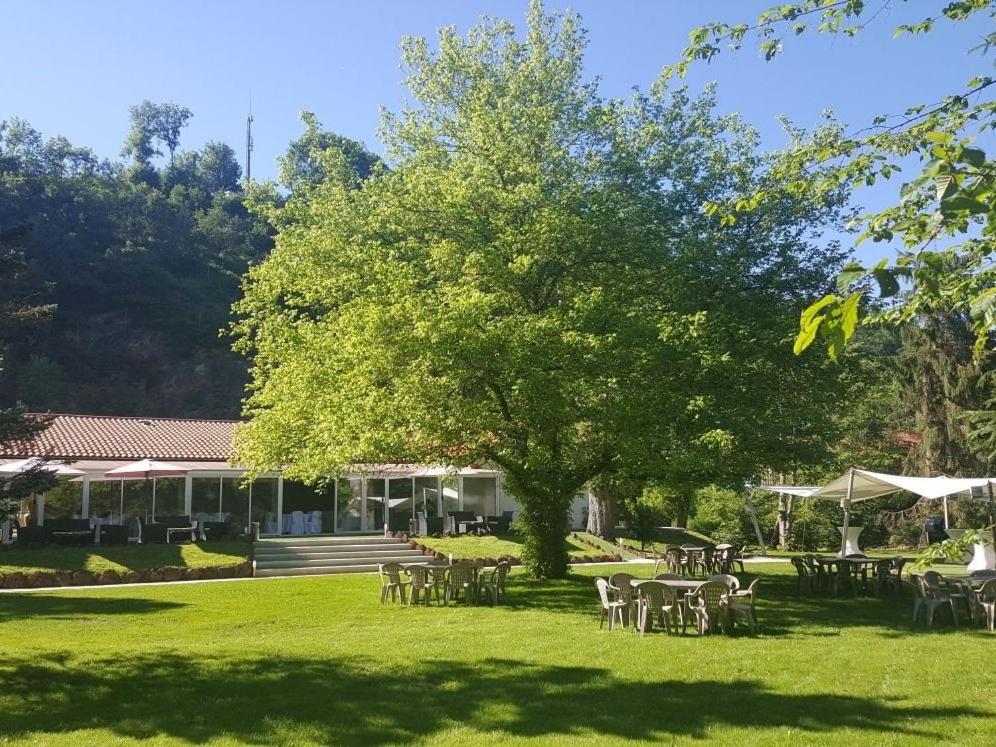 um grupo de mesas e cadeiras debaixo de uma árvore em Domaine de la Palle em Pontgibaud