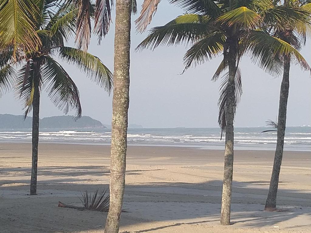  kitnet/studio aconchegante - Vale a Pena Conferir!