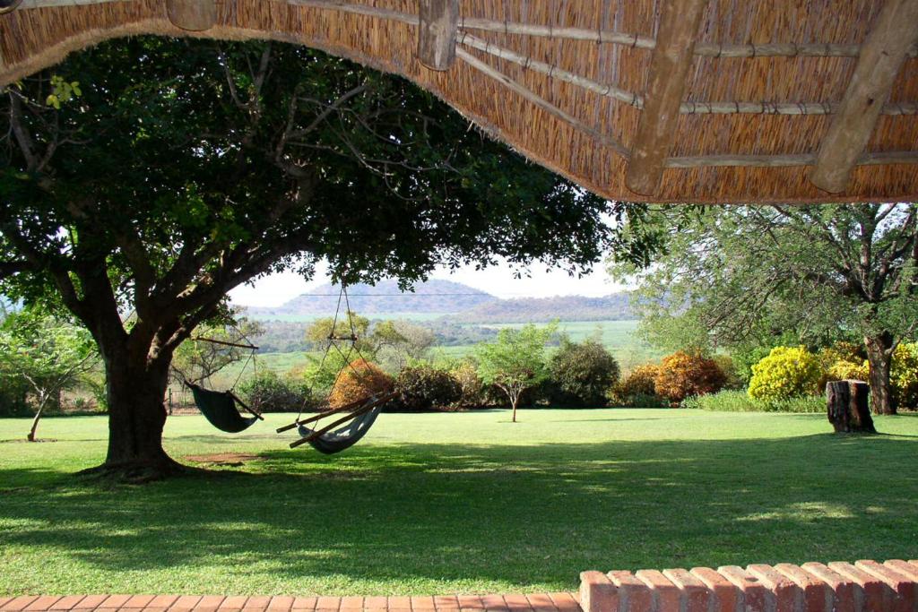 a swing hanging from a tree in a park at Selati 103 Guest Cottages in Malelane