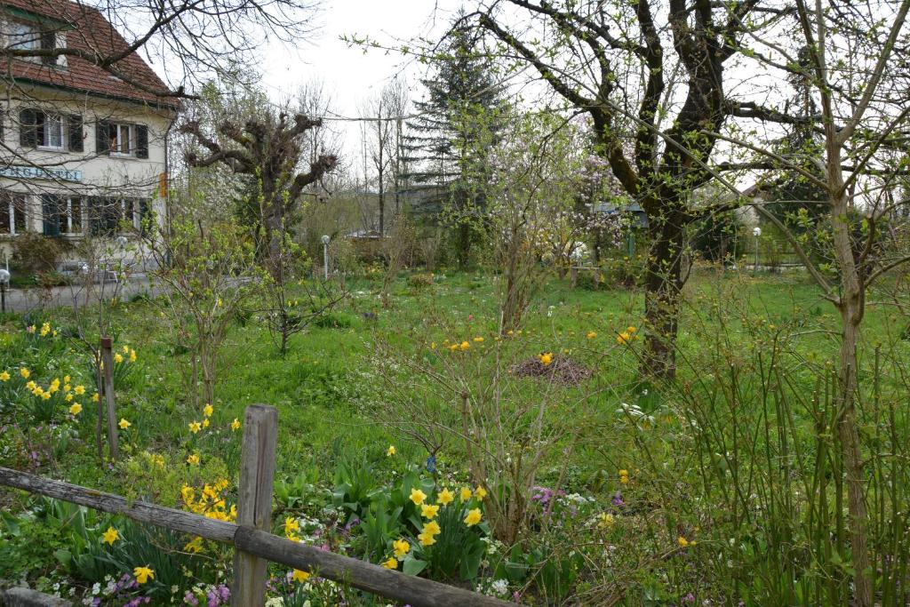 Hotel Hessengüetli - Resim 15