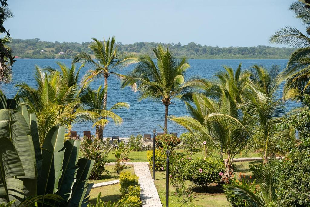 a view of the water from a resort with palm trees at Dolphin Blue Paradise in Bocas del Toro