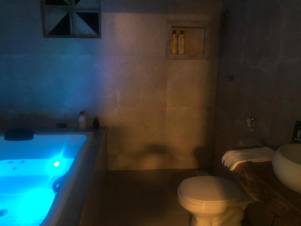 貝貝里比的住宿－Tabubinha Paradise，一间带卫生间和水槽的浴缸的浴室