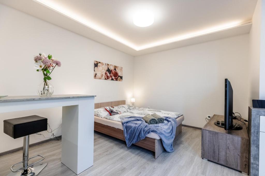 APARTIA Skořepka 15, Brno-center - Appartement Met Balkon