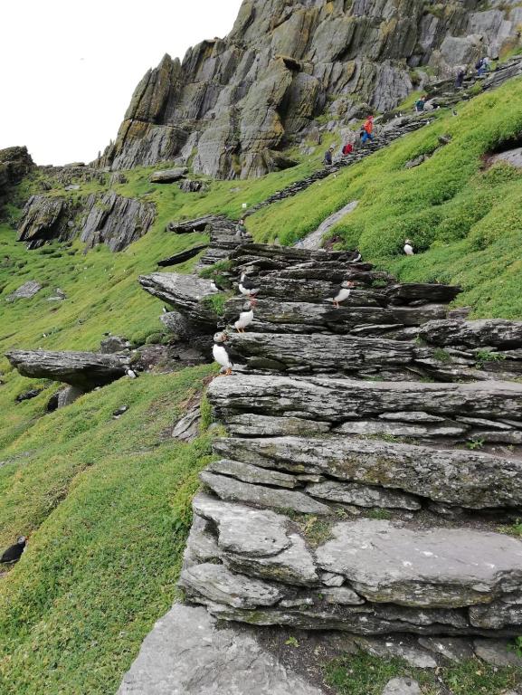 Paesaggio naturale nelle vicinanze dell'affittacamere