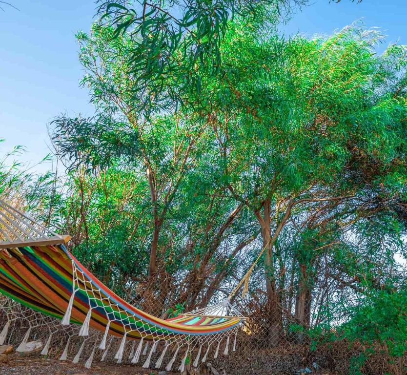 a hammock sitting in front of some trees at Casa Sofianna 2-bedroom home next to sandy beach in Monemvasia