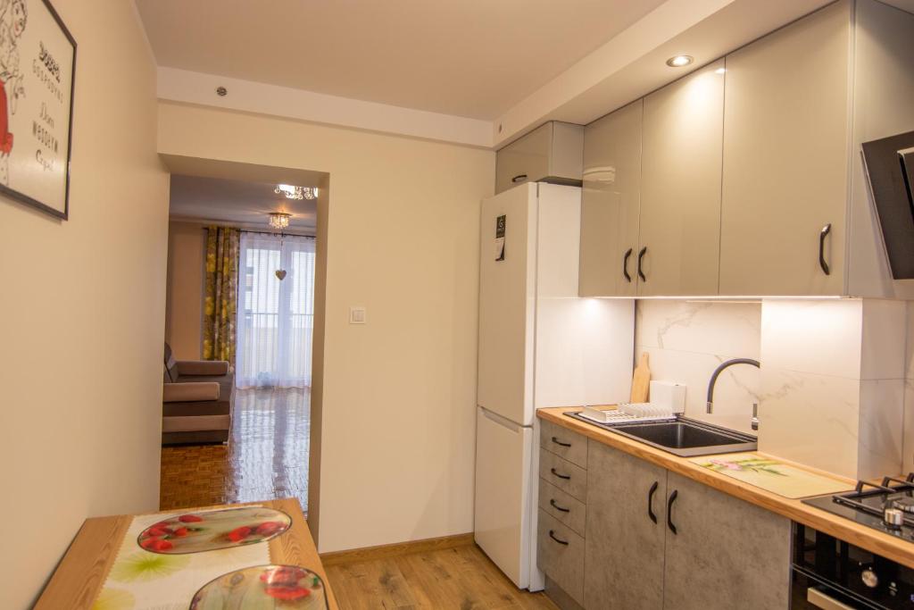 Kuchyňa alebo kuchynka v ubytovaní Apartament Omega I