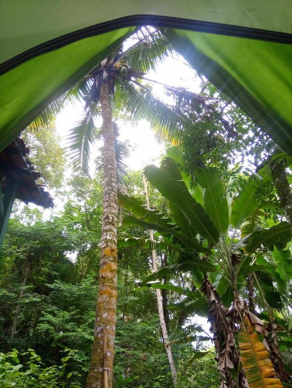 Trópico de Capricórnio - Ilhabela