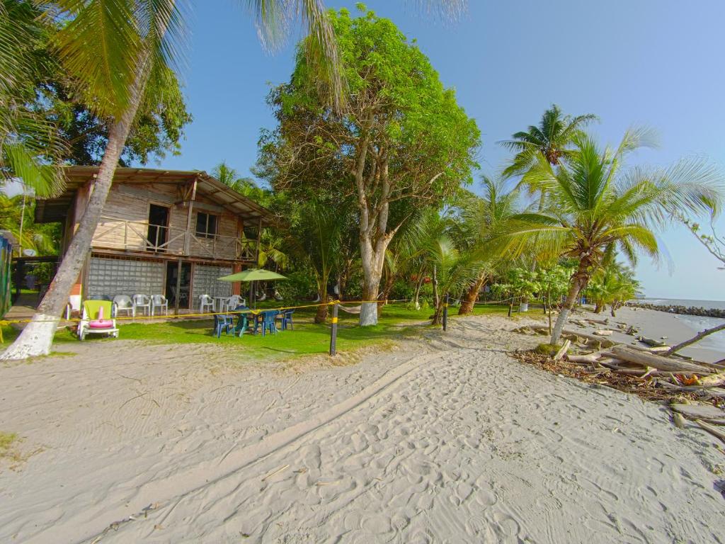 une maison sur une plage de sable avec des palmiers dans l'établissement Las Cabañas de Mario, à Necoclí