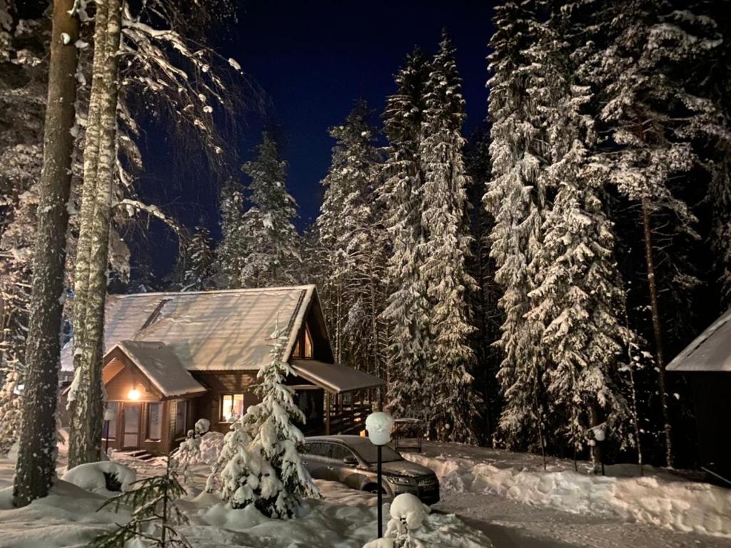 AlekkaにあるCountry House Alekkaの夜間雪に覆われた森の小屋