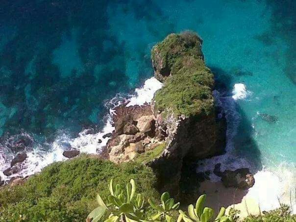 una isla en el océano con agua y plantas en Made Roejas Family en Uluwatu