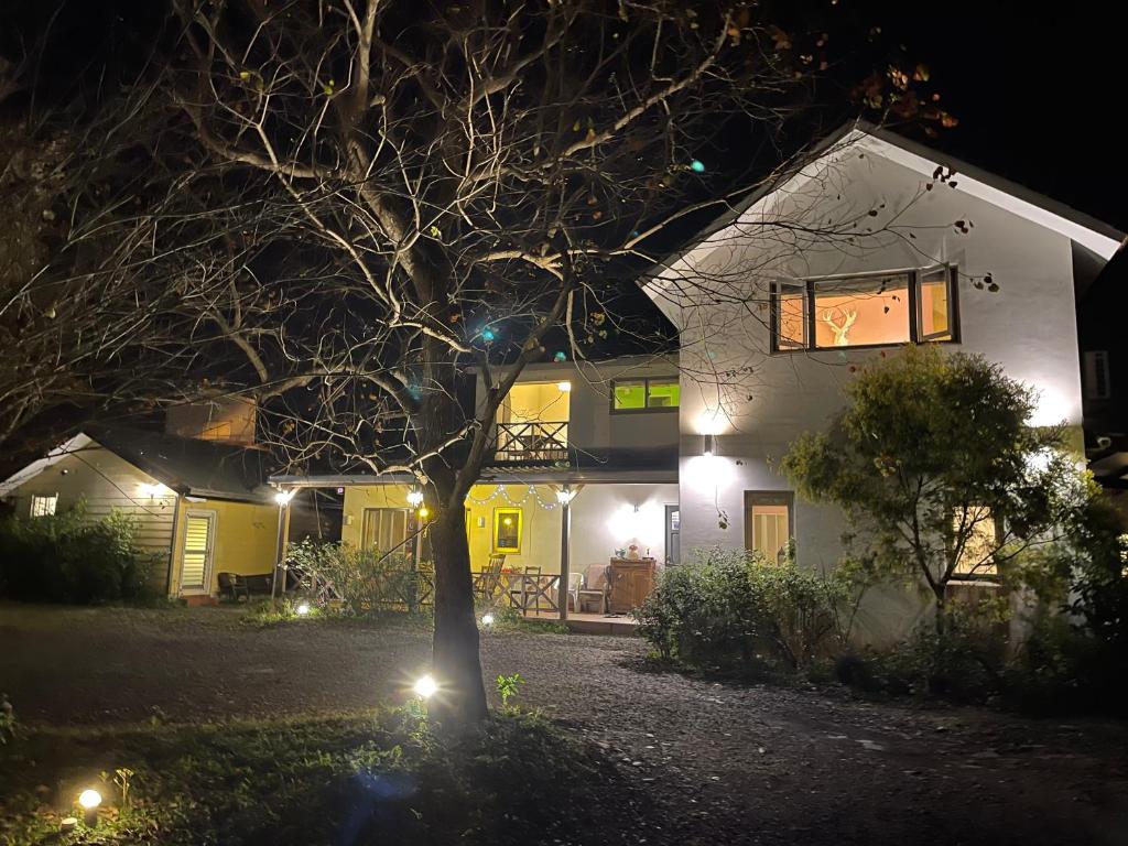 冬山鄉的住宿－星願園民宿，夜晚的房子,前面有一棵树