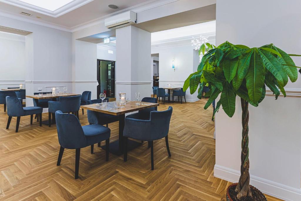 Hotel Ilan - Resim 30