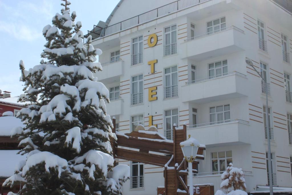 Gallery image of Borapark Otel in Erzurum