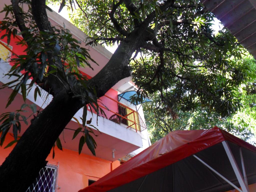  Pousada Casa de Hilton