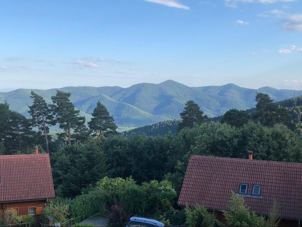 Kalnų panorama iš apartamentų arba bendras kalnų vaizdas