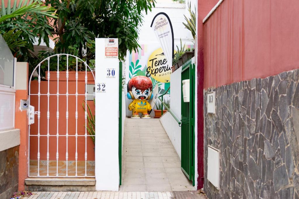 Tenerife Experience Hostel, Santa Cruz de Tenerife – Updated 2024 Prices