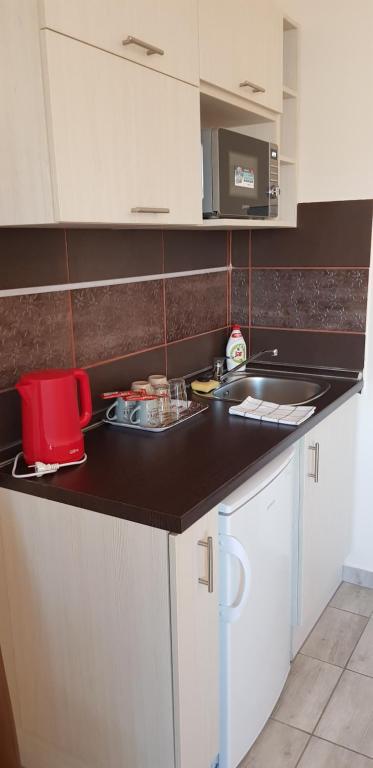 Kuchyň nebo kuchyňský kout v ubytování Rózsa Apartmanház