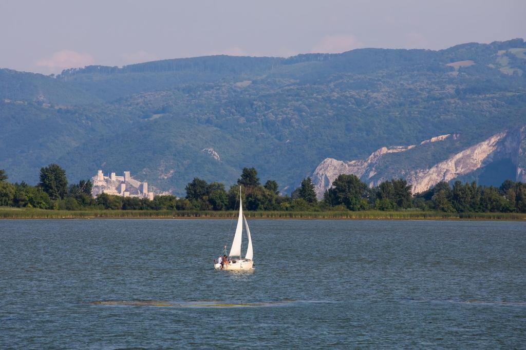 ein Segelboot auf einem See mit einem Schloss im Hintergrund in der Unterkunft Dunavska bajka in Vinci