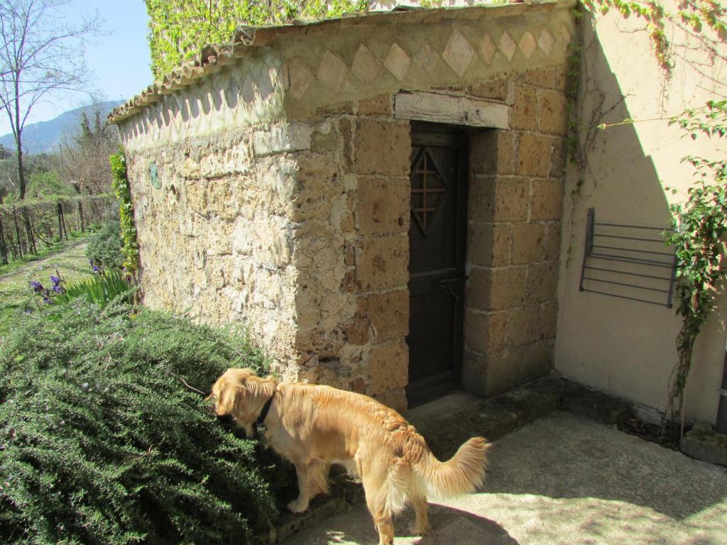 Agriturismo 