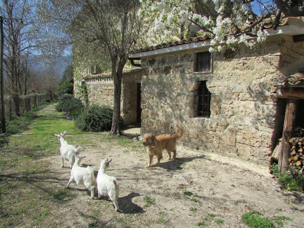 Agriturismo 