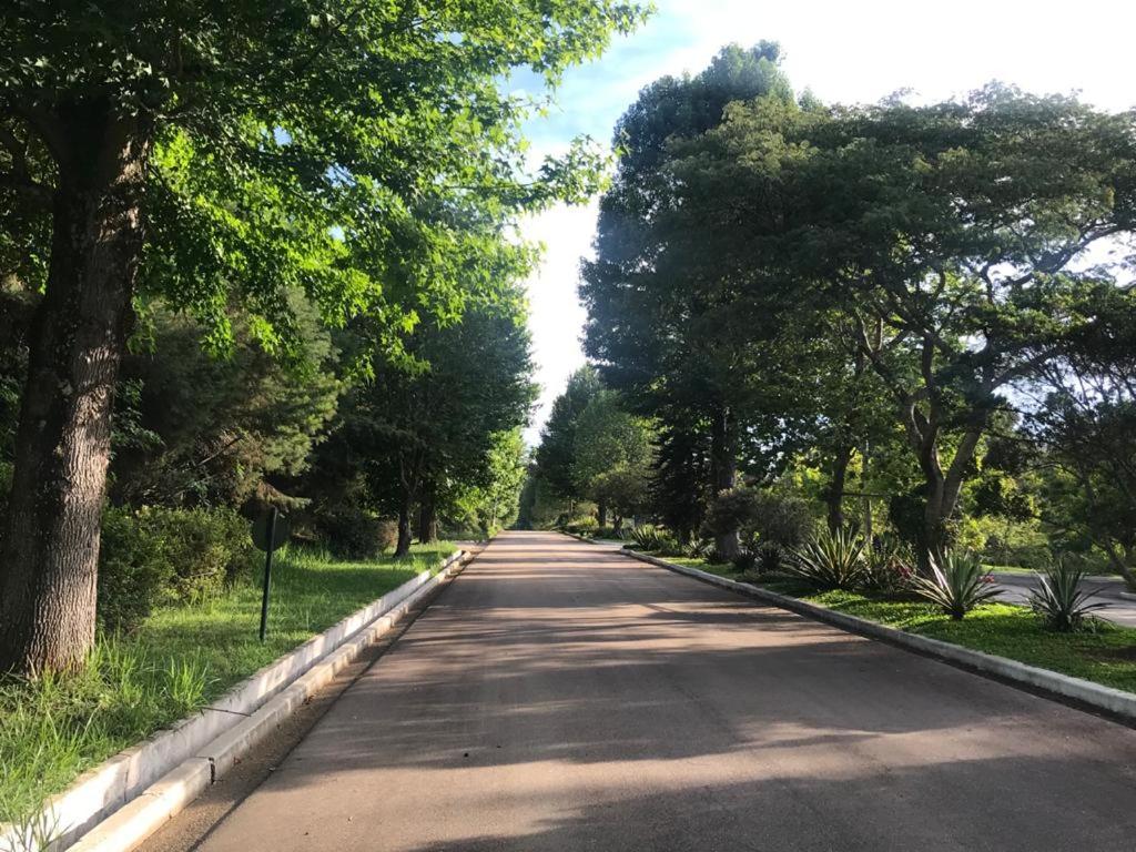  Casa de Campo / Sitio / Chacara Condominio Fechado