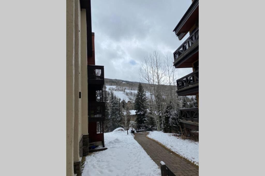 Best creek view and mountain view in town. Unbeatable location v zimě