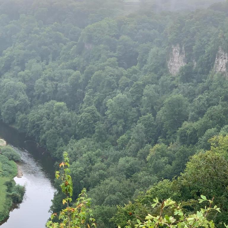 Gallery image of Symonds Yat West Holiday Cottage 8 WRC with views of Yat Rock in Symonds Yat