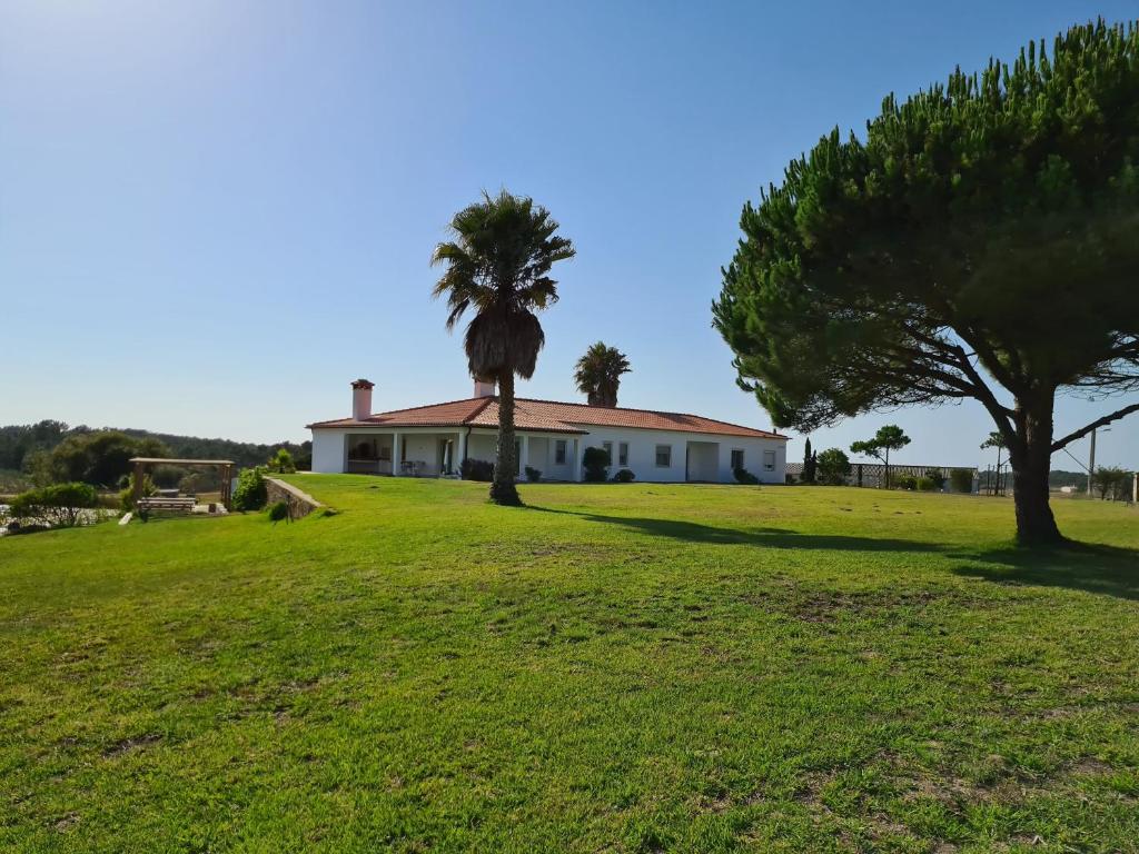 une maison avec un palmier dans un champ dans l'établissement Herdade da Vagem, à Rogil