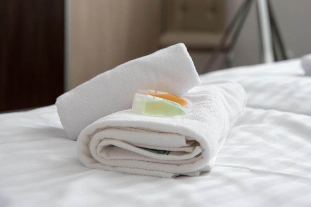 Postel nebo postele na pokoji v ubytování CLASSIC apartmány Třinec