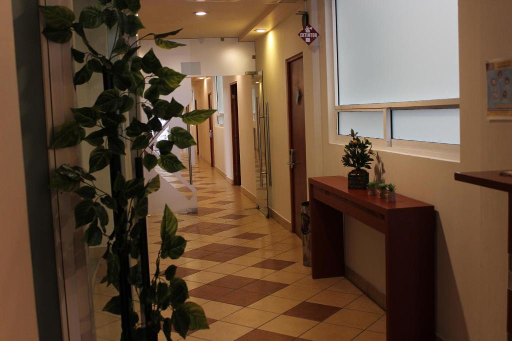 Fotografie z fotogalerie ubytování Hotel Marllou v destinaci Xalapa