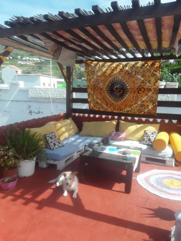 a dog standing on a patio with a couch and a table at Ecoartejeda Casita original in Tejeda