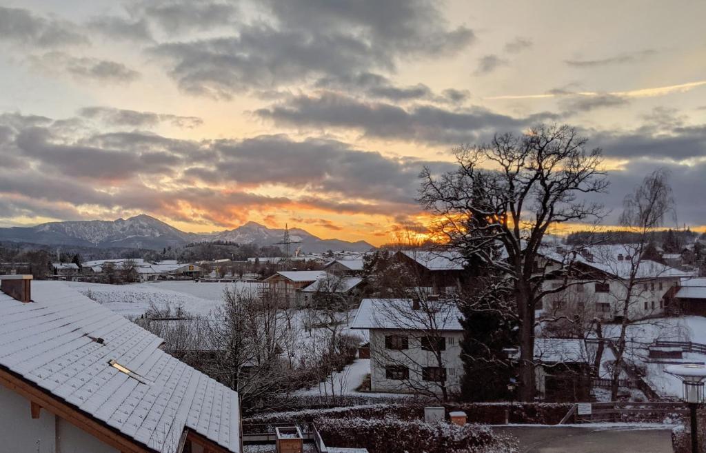 Příroda nedaleko apartmánu