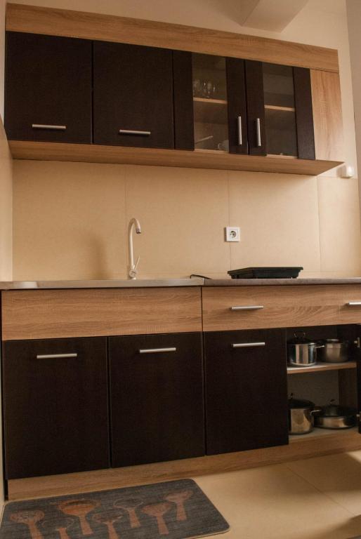 Φωτογραφία από το άλμπουμ του Apartman Soko σε Soko Banja