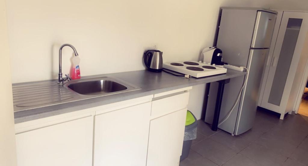 Kuchyň nebo kuchyňský kout v ubytování Apartment Curacao