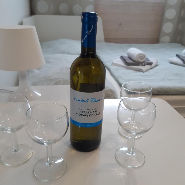 Napoje w obiekcie Apartment Moravský Kras