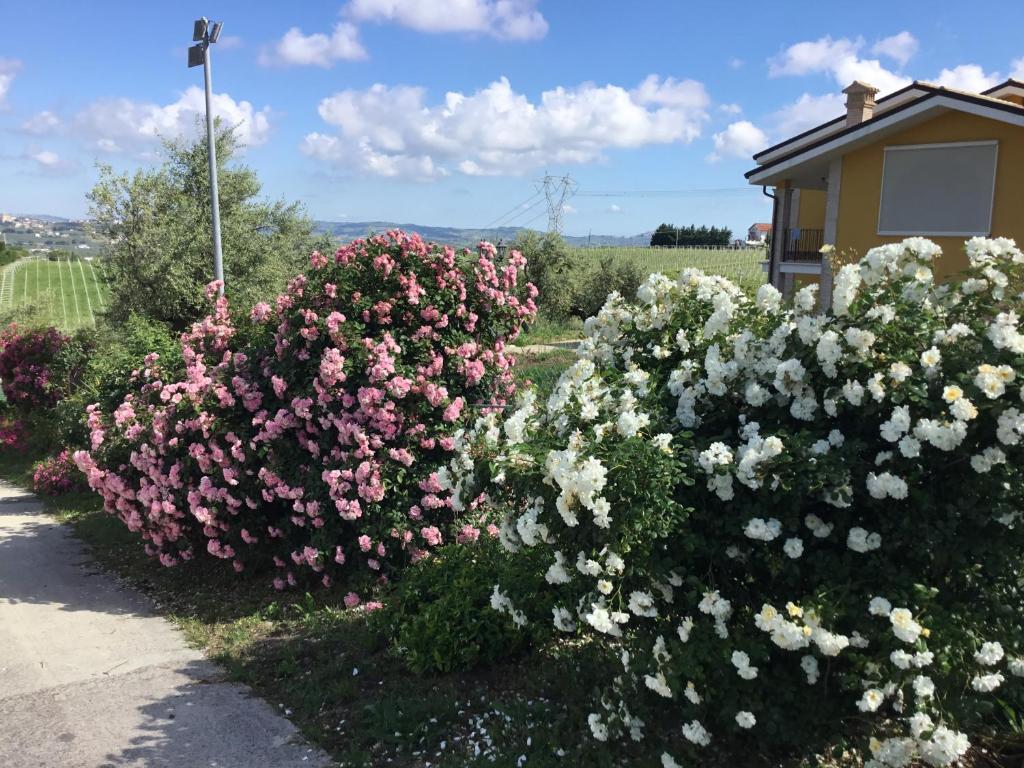 Zahrada ubytování Appartamento Sole