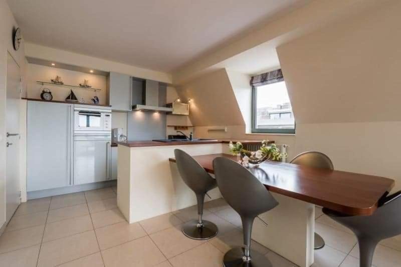 Kuchyň nebo kuchyňský kout v ubytování penthouse saint idesbald