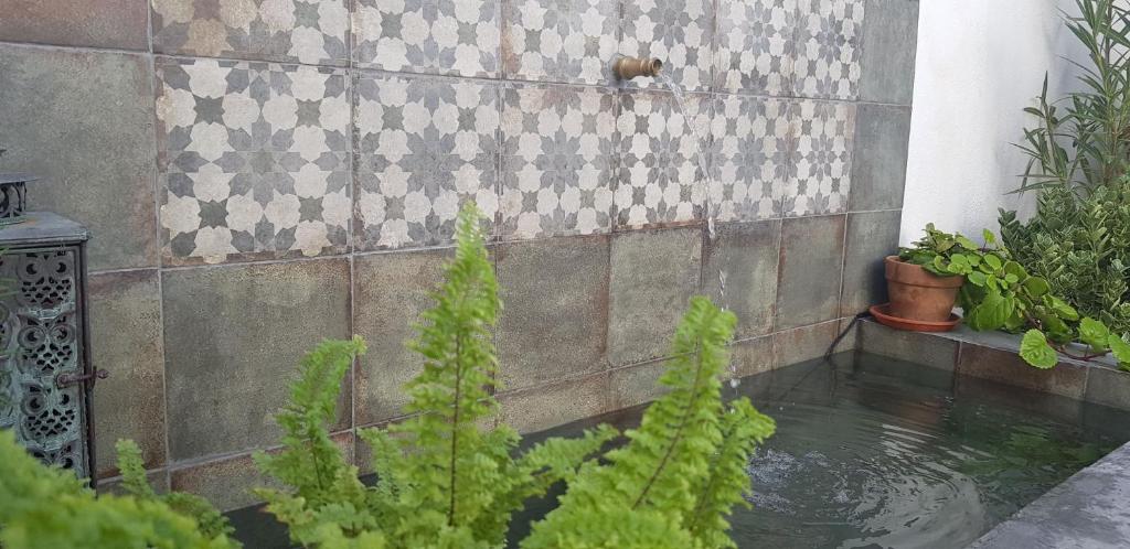 um pequeno lago em frente a uma parede com plantas em Casa Rural los Danzantes em Fuente-Tójar