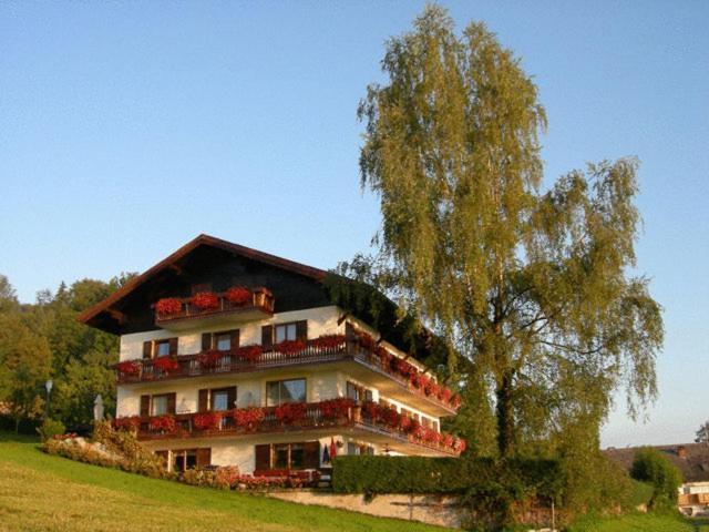 ein Gebäude mit Balkonen und einem Baum auf einem Feld in der Unterkunft Pension Seeblick in Attersee am Attersee