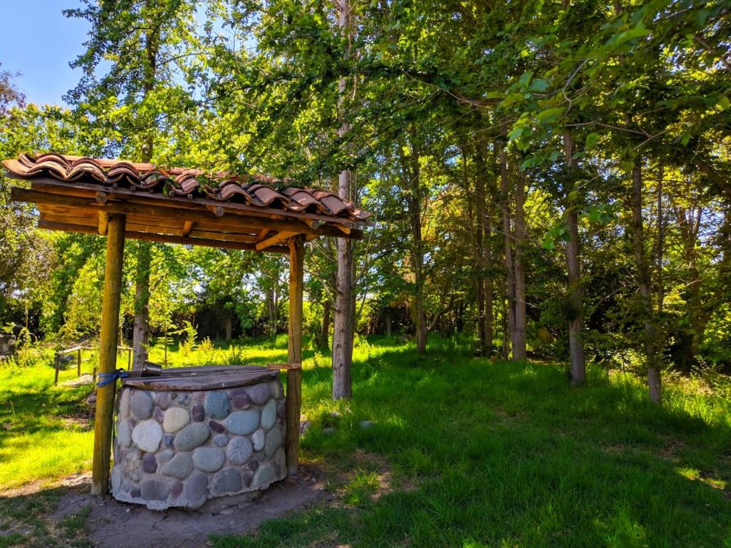 Zahrada ubytování Cabañitas Remanso del Espíritu