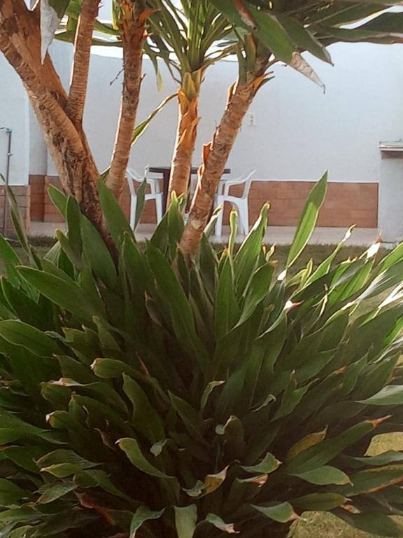  CASA SOL NASCENTE