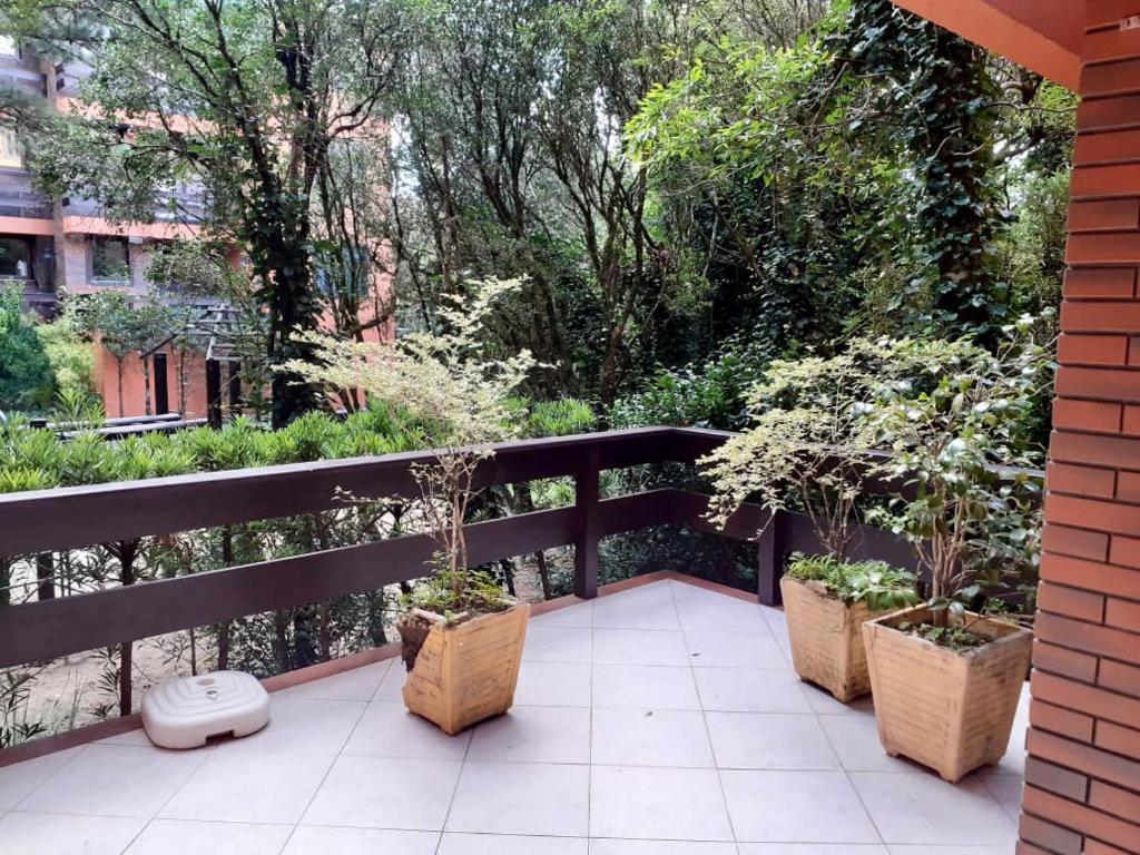 Resort com Natureza no Centro  Resort com Natureza no Centro